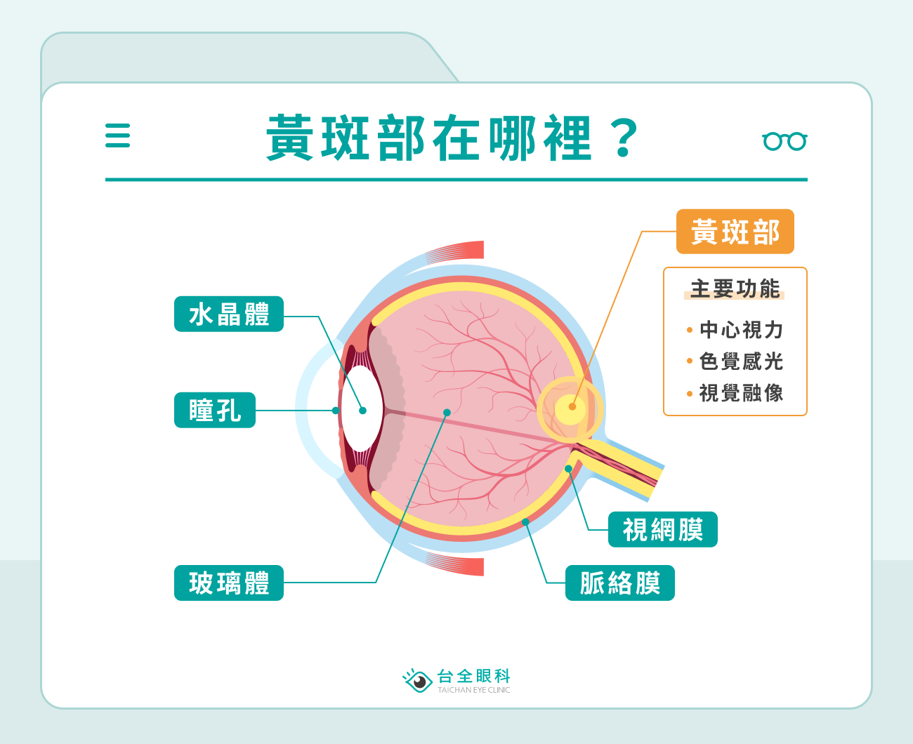 黃斑部在哪裡？